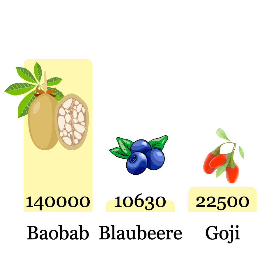 Baobab Pulver Antioxidantien
