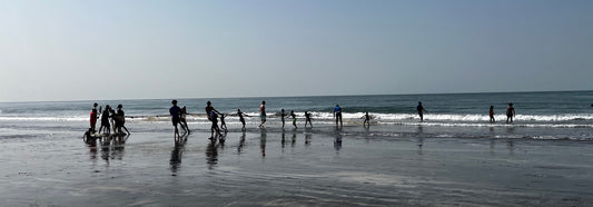 Gambia: Fishermen bring in their fishing net on the beach