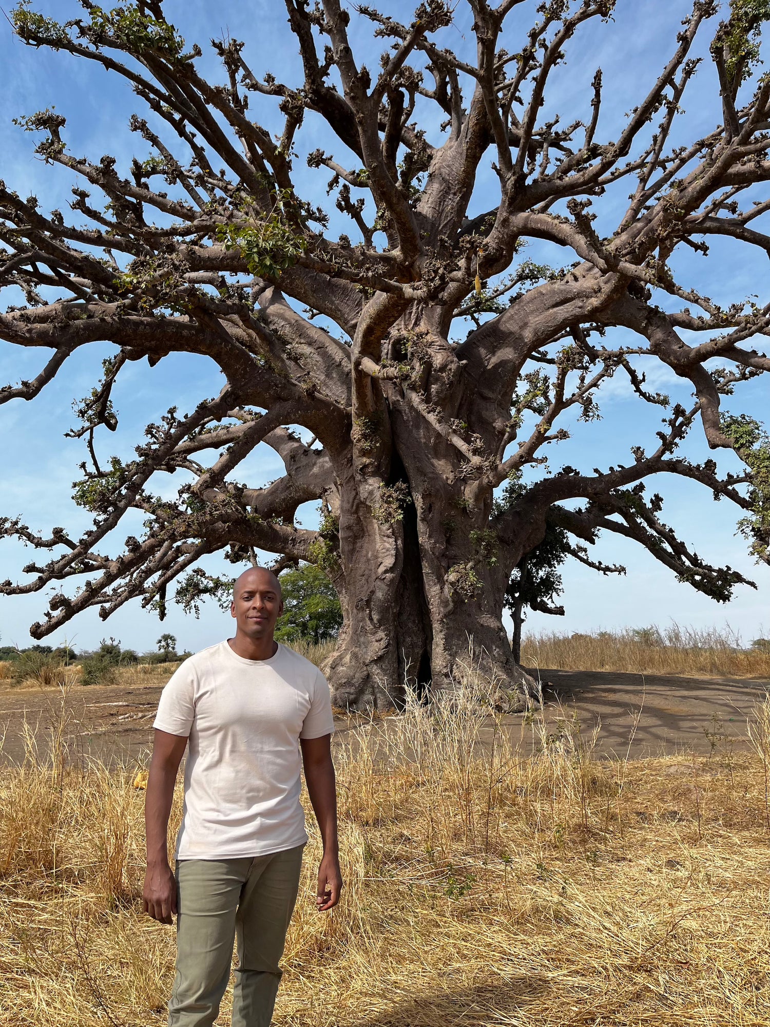 Mann steht vor einem Baobab Baum Sentinel in Senegal, Afrika
